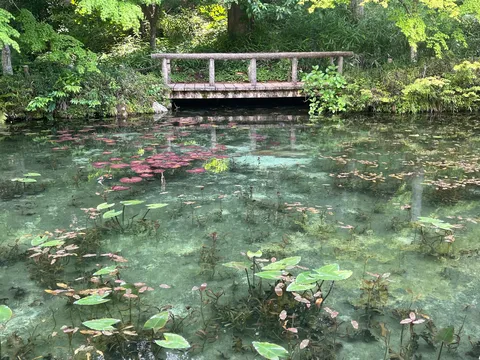 水面揺れる静寂の橋