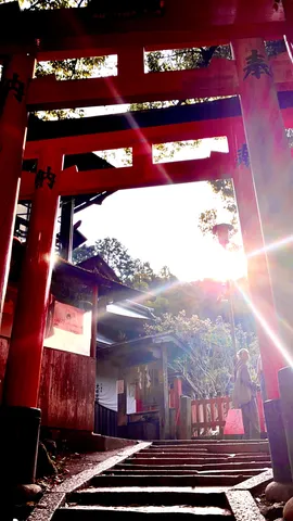 朱色の鳥居と光の道