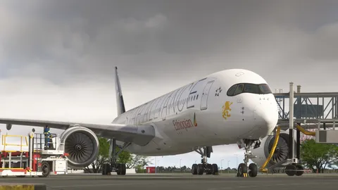 旅客機と整備士の静かな時間