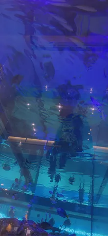 深い海の青が映る水槽