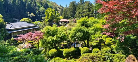 深緑の庭園、静寂の和み
