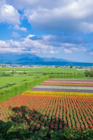 空と大地、色彩のシンフォニー