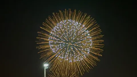 夜空に咲く大輪の花火