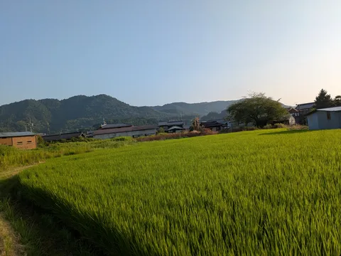 緑の絨毯、日本の原風景