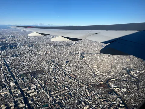 翼が見守る広大な都市の眺め