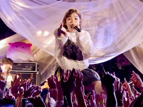 ライブ会場を彩る熱気と光
