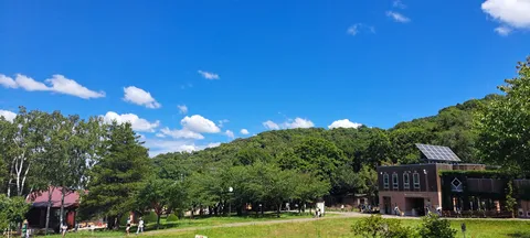 青空と緑のコントラストが鮮やか