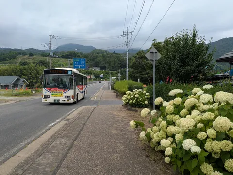 梅雨空と紫陽花のバス停