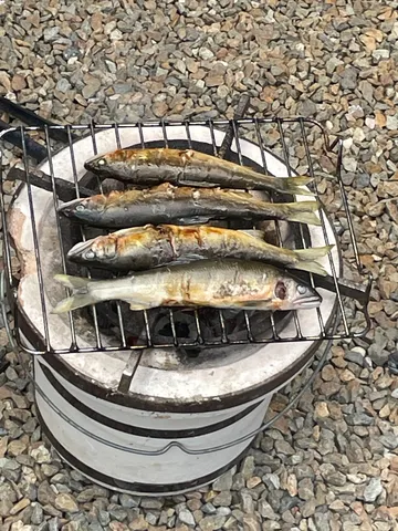 炭火で焼く、夏の風物詩