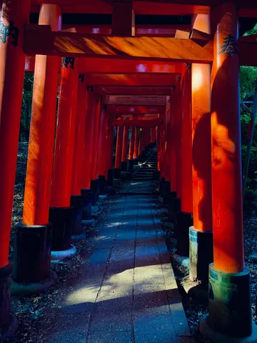 朱色の回廊、光の道