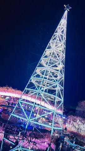 星降る光のタワー