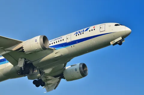 空へ羽ばたくANA機