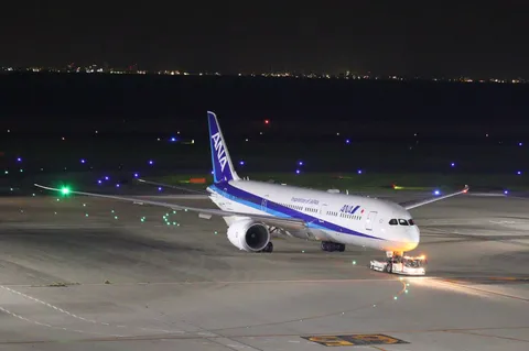 滑走路を照らす光とANAの夜景