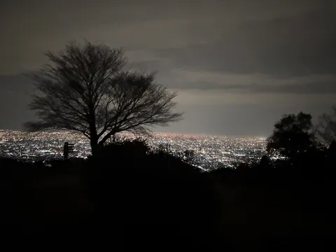 闇夜に灯る都会の星屑