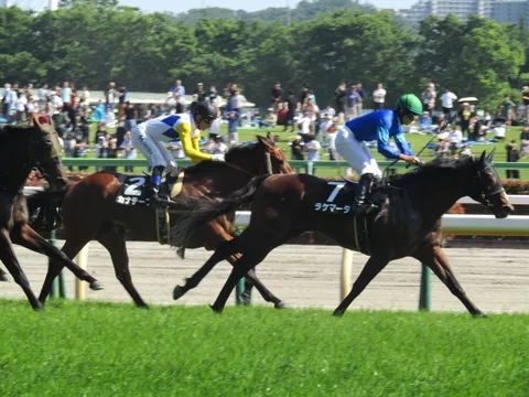 競馬場の熱き疾走