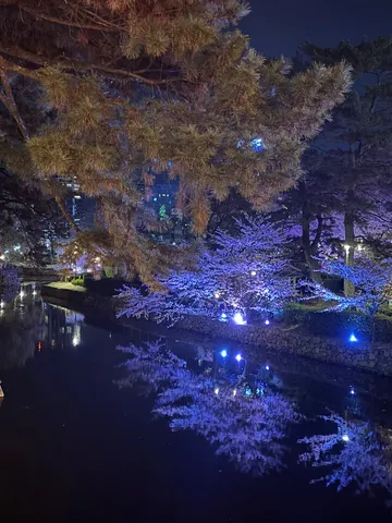 夜空に咲く光の花、水面に映る幻想