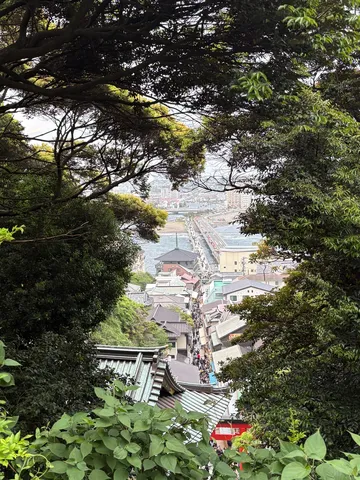 木漏れ日、風情ある街並み