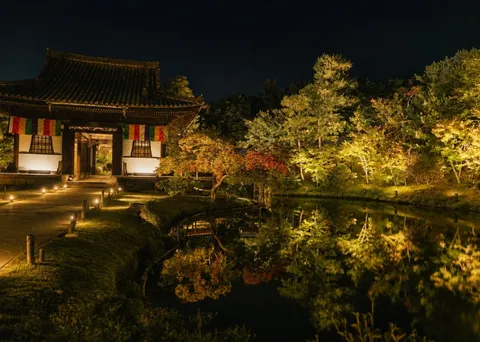 夜の庭と灯りの静寂