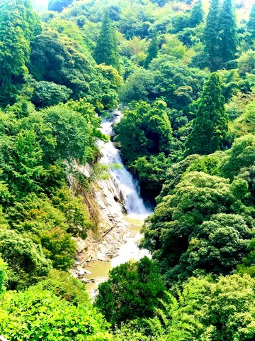 緑深き滝の流れる渓谷