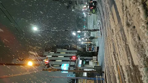これはもう、雪のアート展ですな