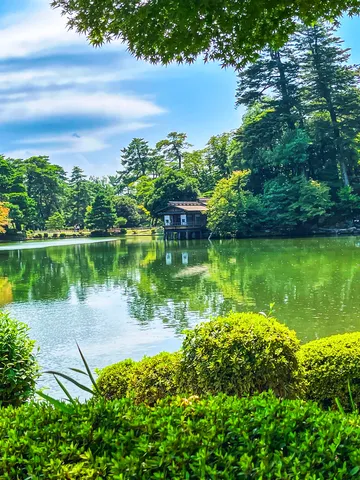 緑と水面の静謐な夏日