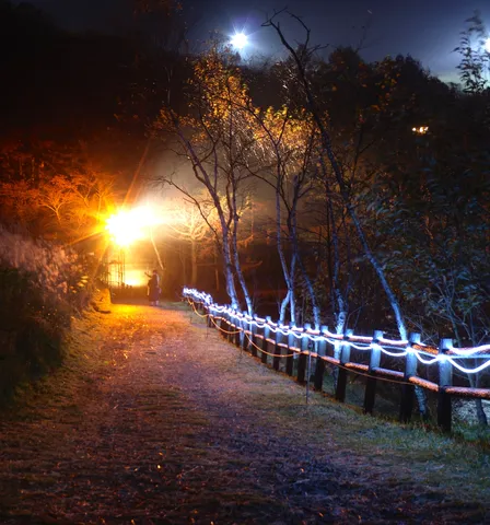 光の道筋、夜の散歩道