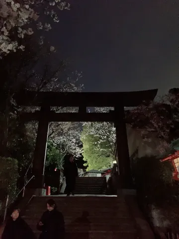 夜桜と鳥居の幻想的な散歩