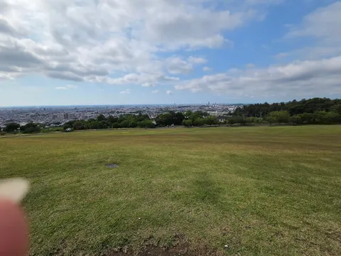 空と街、広がる緑の絨毯