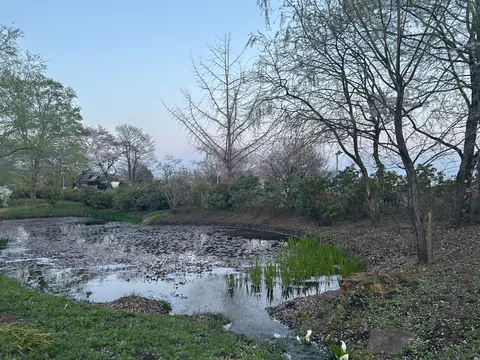 静寂に包まれた水辺の情景