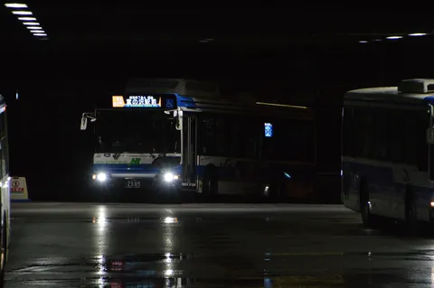 夜のバス停、雨上がりの静寂
