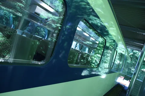 緑の光が踊る車窓