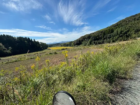 夏の田園と青い空