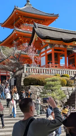 晴れやかな空と古刹のコントラスト