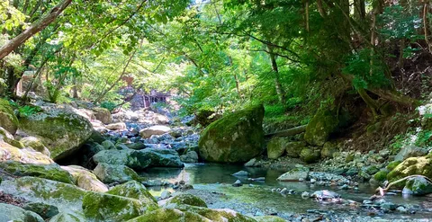 苔むす岩と清流の囁き