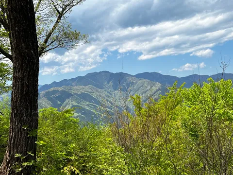 山と新緑の静かな瞬間