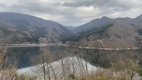 湖に映る、春まだ遠し？