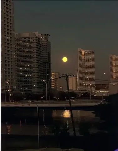 夜の月と都心の静けさ