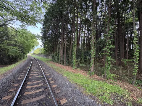 森の奥へ続く線路
