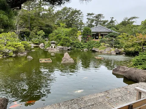 静寂の池に映る木漏れ日