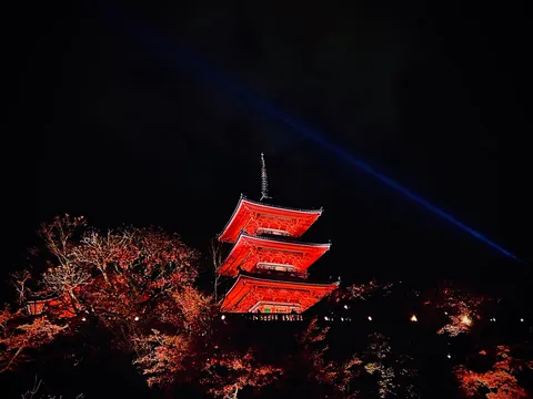 闇夜に浮かぶ、燃えるような五重塔