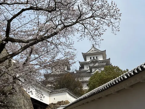 春を告げる古城の姿