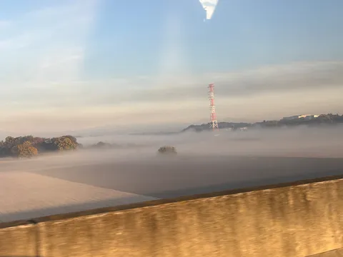 霧が包む早朝の風景