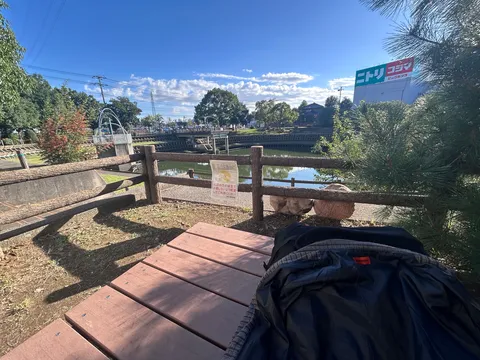 水辺のんびり風景