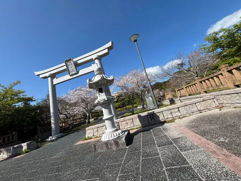 春の訪れ、鳥居と桜のコントラスト