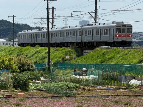 電車と畑のコントラスト