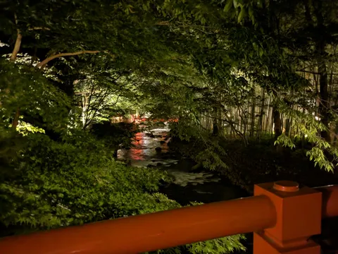 闇夜に照らされる竹林と清流