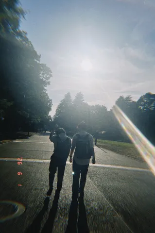 光と影の散歩道