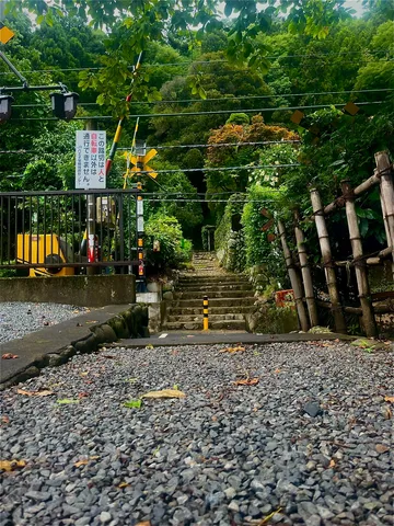 緑に包まれた踏切、静かな上り道