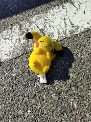 路上に眠るピカチュウ