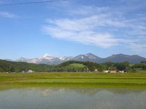 山と田んぼのコントラスト